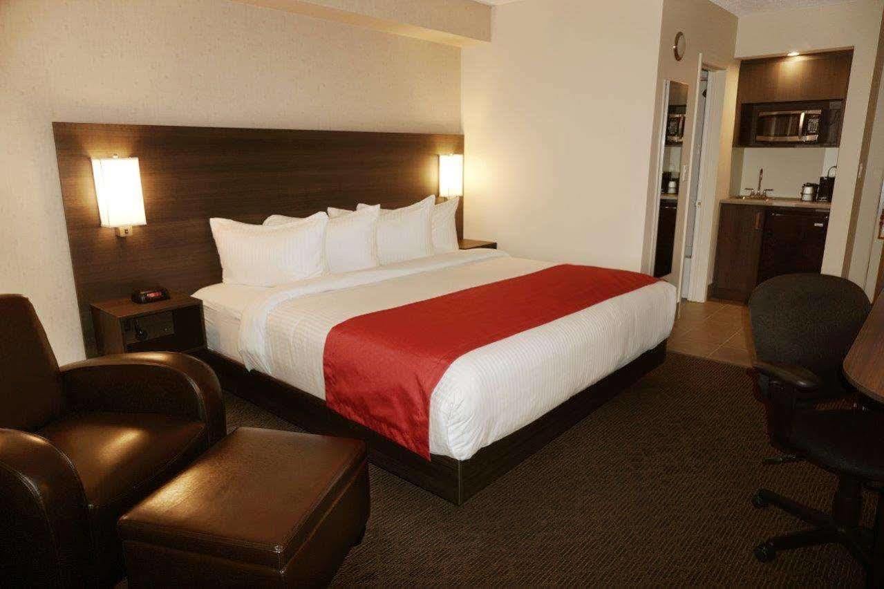 Quality & Conference Centre Inn Kingston